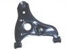 控制臂 Control Arm:G030-34-300F