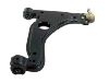 Brazo de suspensión Control Arm:5352 004