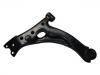 Control Arm:48069-20260