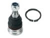 Joint de suspension Ball Joint:54430-3K000