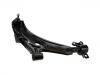 Control Arm:54501-29000