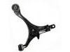 控制臂 Control Arm:51350-S9A-010