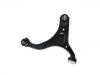 Control Arm:54501-2P000