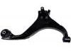 Control Arm:54501-2E100